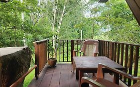 Wilpattu Tree House